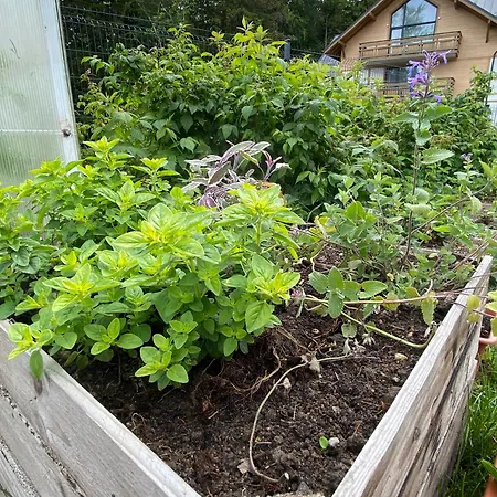 Dzika Roza Chalet Szklarska Poreba