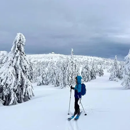 Domek alpejski Dzika Róża Szklarska Poręba
