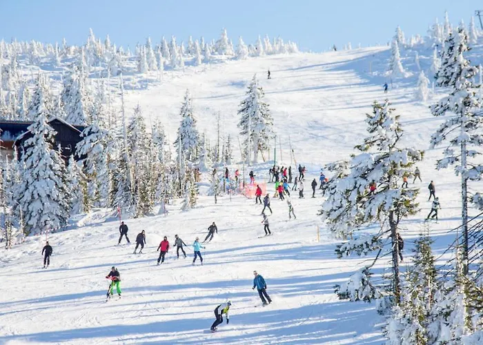 Dzika Roza Szklarska Poreba