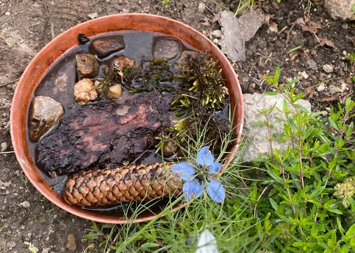 Dzika Roza Chalet Szklarska Poreba