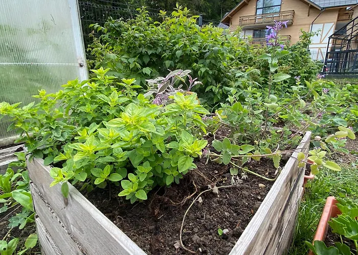 Dzika Roza Chalet Szklarska Poreba